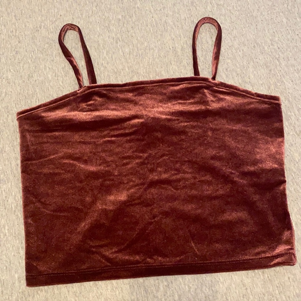 Forever 21 velour crop top